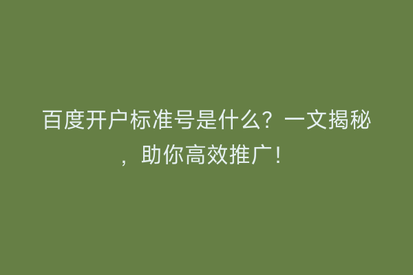 百度开户标准号是什么？一文揭秘，助你高效推广！