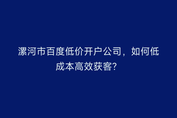 漯河市百度低价开户公司，如何低成本高效获客？