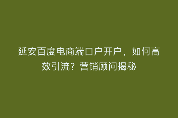 延安百度电商端口户开户，如何高效引流？营销顾问揭秘