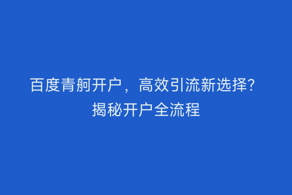 百度青舸开户，高效引流新选择？揭秘开户全流程