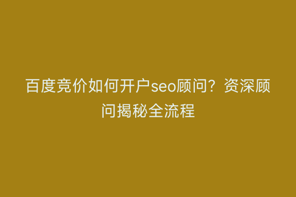 百度竞价如何开户seo顾问?资深顾问揭秘全流程