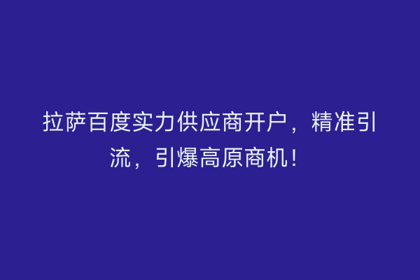 拉萨百度实力供应商开户，精准引流，引爆高原商机！