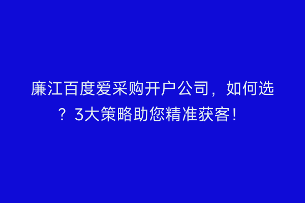 廉江百度爱采购开户公司，如何选？3大策略助您精准获客！