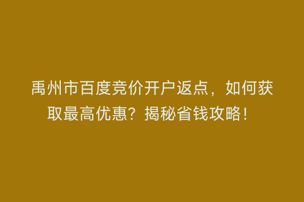 禹州市百度竞价开户返点，如何获取最高优惠？揭秘省钱攻略！