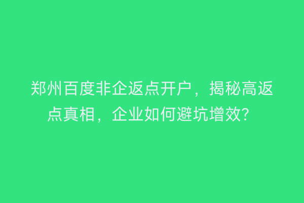 郑州百度非企返点开户，揭秘高返点真相，企业如何避坑增效？