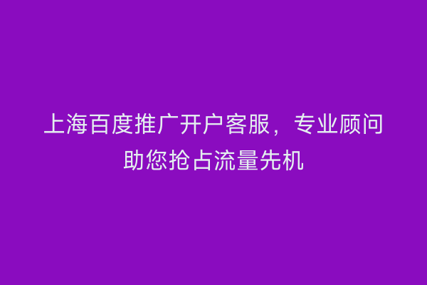 上海百度推广开户客服，专业顾问助您抢占流量先机