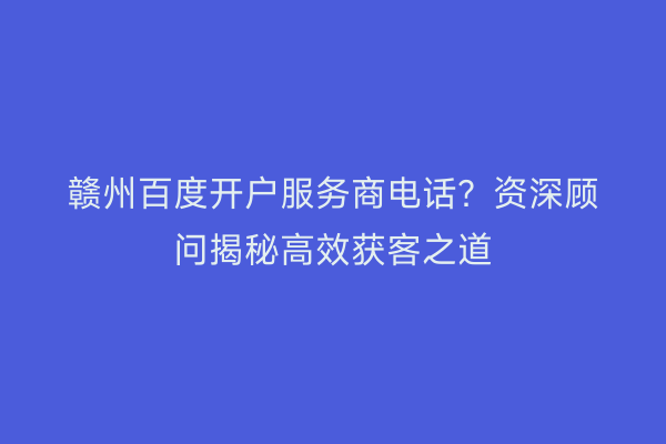 赣州百度开户服务商电话？资深顾问揭秘高效获客之道