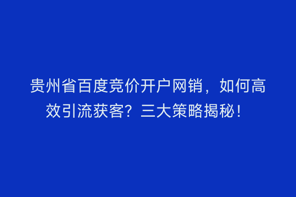 贵州省百度竞价开户网销，如何高效引流获客？三大策略揭秘！
