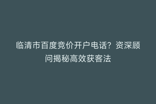 临清市百度竞价开户电话？资深顾问揭秘高效获客法