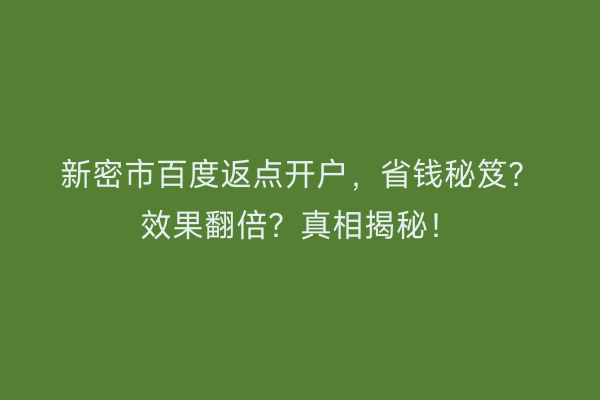新密市百度返点开户，省钱秘笈？效果翻倍？真相揭秘！