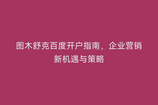 图木舒克百度开户指南，企业营销新机遇与策略