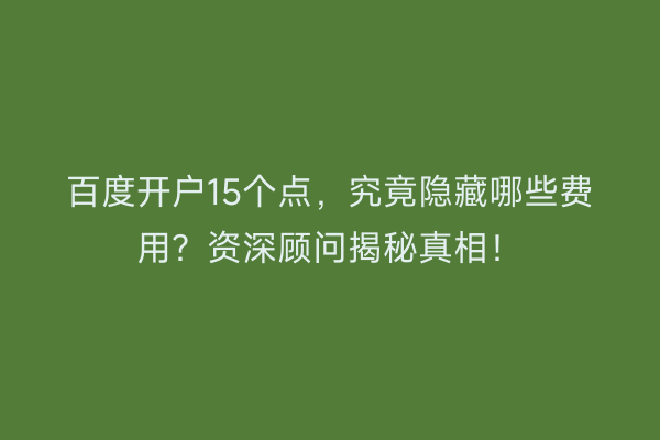 百度开户15个点，究竟隐藏哪些费用？资深顾问揭秘真相！