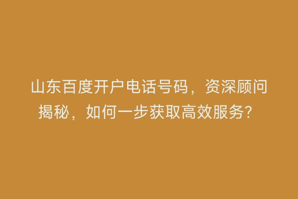 山东百度开户电话号码，资深顾问揭秘，如何一步获取高效服务？