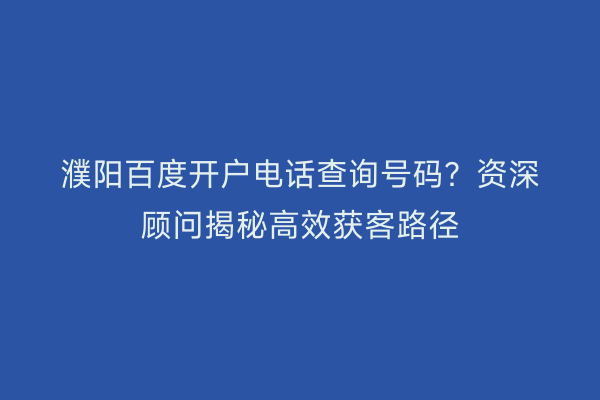 濮阳百度开户电话查询号码？资深顾问揭秘高效获客路径