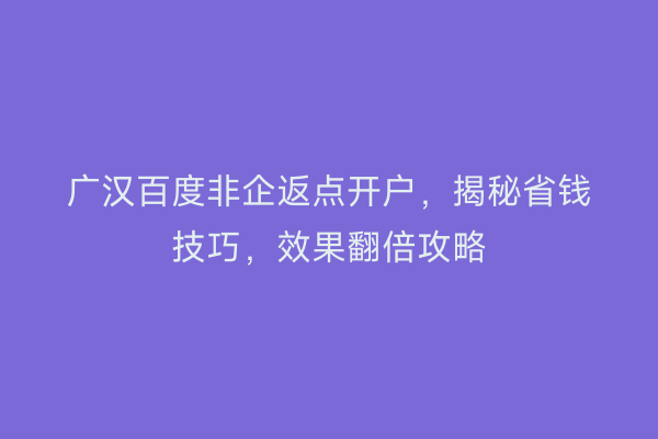 广汉百度非企返点开户，揭秘省钱技巧，效果翻倍攻略