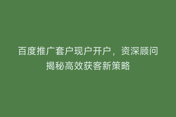 百度推广套户现户开户，资深顾问揭秘高效获客新策略