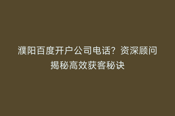 濮阳百度开户公司电话？资深顾问揭秘高效获客秘诀