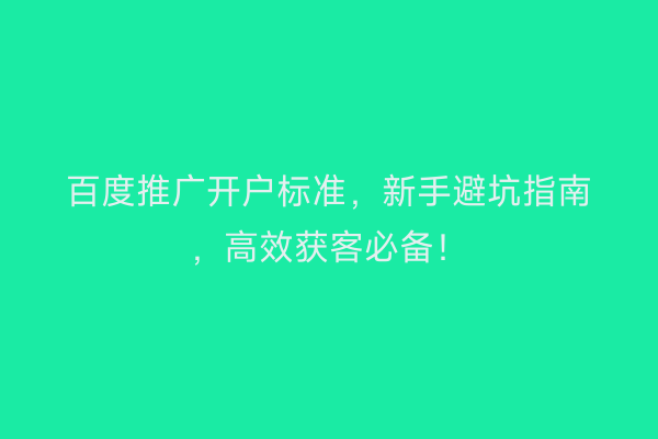 百度推广开户标准，新手避坑指南，高效获客必备！