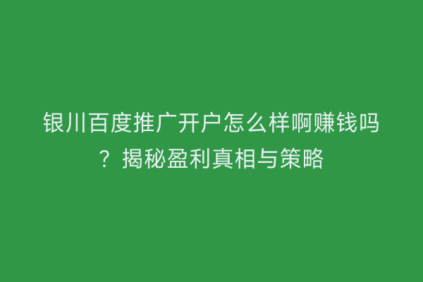 银川百度推广开户怎么样啊赚钱吗？揭秘盈利真相与策略