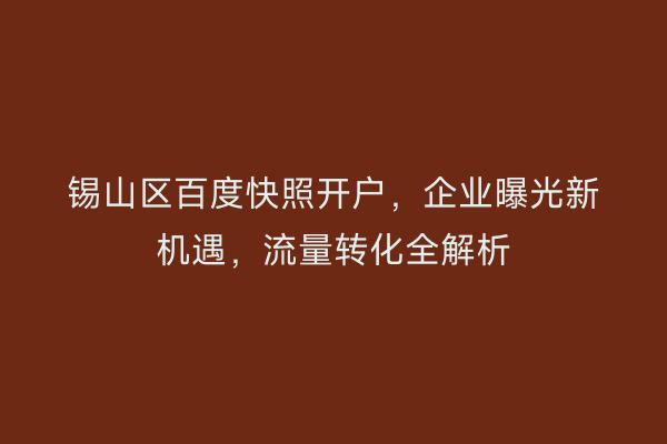锡山区百度快照开户，企业曝光新机遇，流量转化全解析