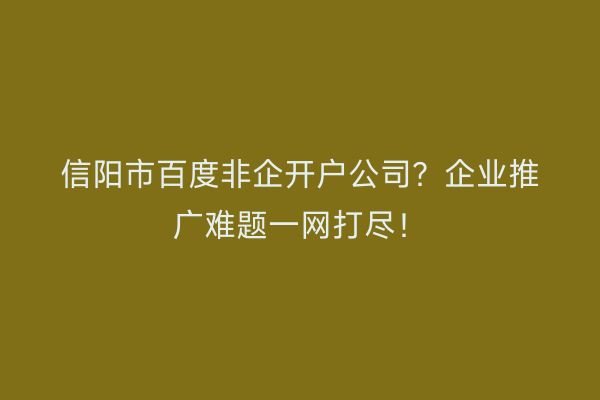信阳市百度非企开户公司？企业推广难题一网打尽！