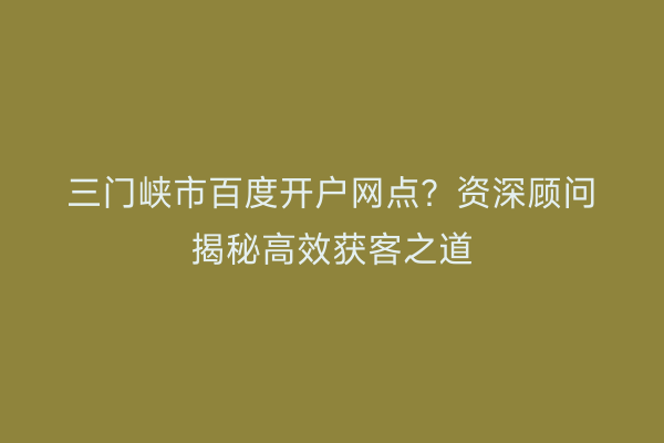 三门峡市百度开户网点？资深顾问揭秘高效获客之道