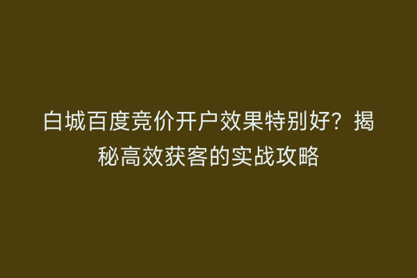白城百度竞价开户效果特别好？揭秘高效获客的实战攻略
