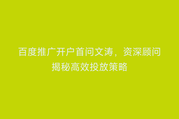 百度推广开户首问文涛，资深顾问揭秘高效投放策略