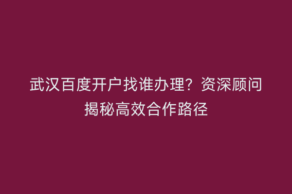 武汉百度开户找谁办理？资深顾问揭秘高效合作路径