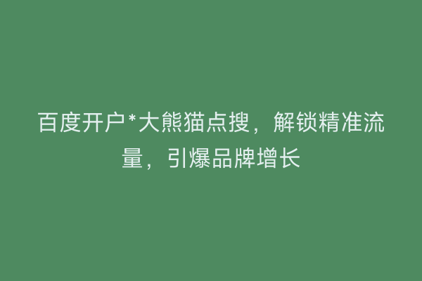 百度开户﹡大熊猫点搜，解锁精准流量，引爆品牌增长