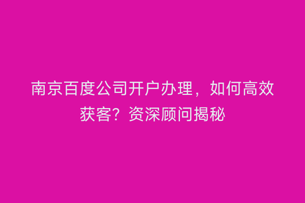南京百度公司开户办理，如何高效获客？资深顾问揭秘