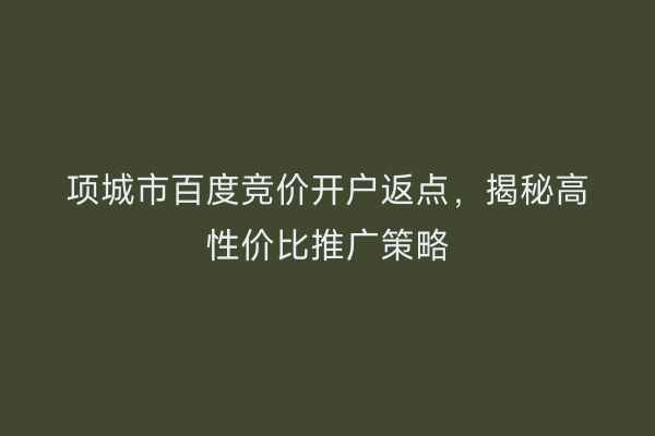项城市百度竞价开户返点，揭秘高性价比推广策略