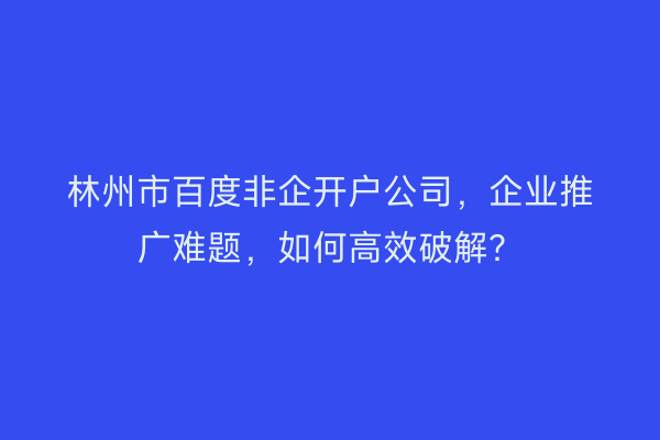 林州市百度非企开户公司，企业推广难题，如何高效破解？