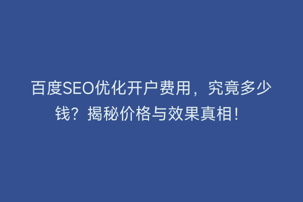 百度SEO优化开户费用，究竟多少钱？揭秘价格与效果真相！