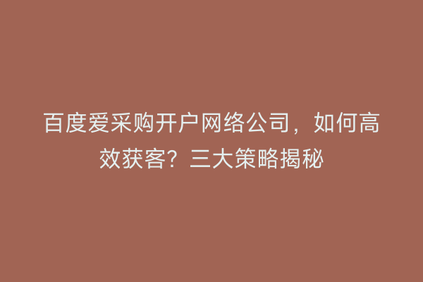 百度爱采购开户网络公司，如何高效获客？三大策略揭秘