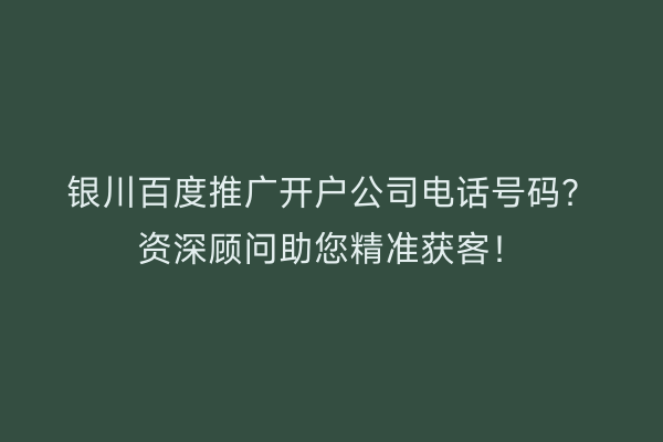 银川百度推广开户公司电话号码？资深顾问助您精准获客！