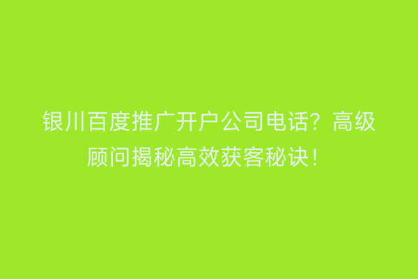 银川百度推广开户公司电话？高级顾问揭秘高效获客秘诀！