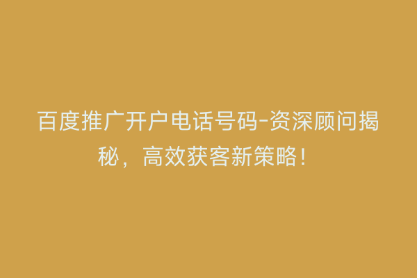 百度推广开户电话号码-资深顾问揭秘，高效获客新策略！