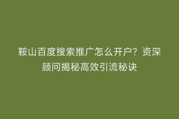 鞍山百度搜索推广怎么开户？资深顾问揭秘高效引流秘诀