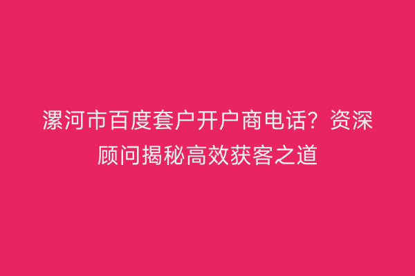漯河市百度套户开户商电话？资深顾问揭秘高效获客之道