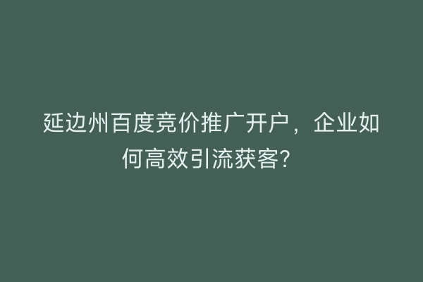 延边州百度竞价推广开户，企业如何高效引流获客？