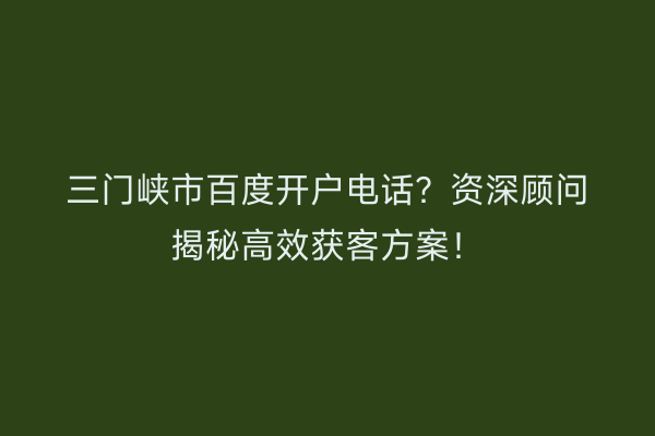 三门峡市百度开户电话？资深顾问揭秘高效获客方案！