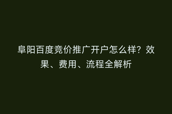 阜阳百度竞价推广开户怎么样？效果、费用、流程全解析