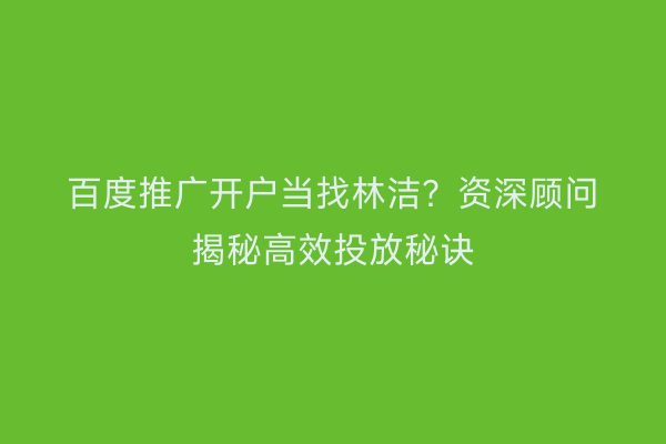 百度推广开户当找林洁？资深顾问揭秘高效投放秘诀