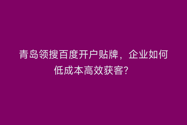 青岛领搜百度开户贴牌，企业如何低成本高效获客？