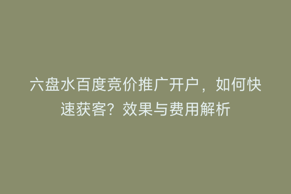 六盘水百度竞价推广开户，如何快速获客？效果与费用解析