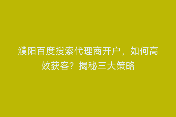 濮阳百度搜索代理商开户，如何高效获客？揭秘三大策略