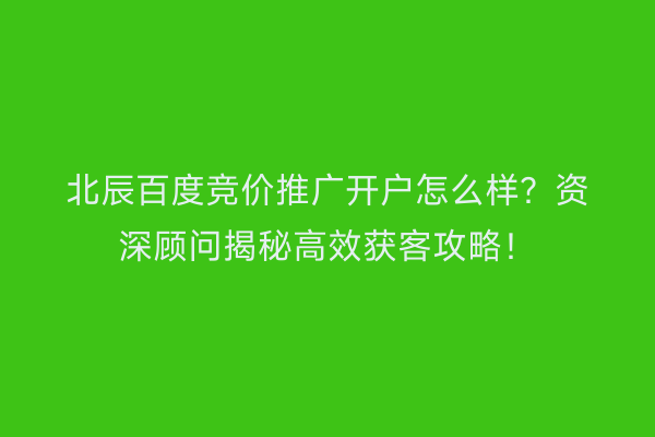 北辰百度竞价推广开户怎么样？资深顾问揭秘高效获客攻略！