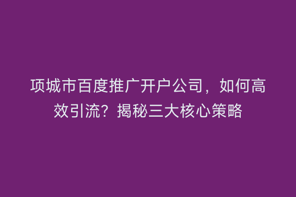 项城市百度推广开户公司，如何高效引流？揭秘三大核心策略