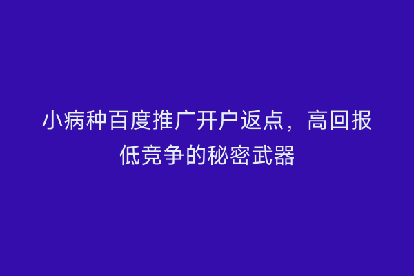小病种百度推广开户返点，高回报低竞争的秘密武器